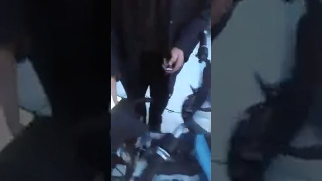 Мотороллер муравей 250сс. 4т. Кпп-5ст смотреть онлайн