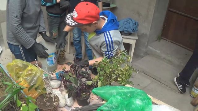 #23 Июнь 2019 Флористика часть 2 смотреть онлайн
