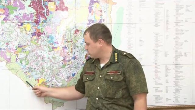 коконопряд смотреть онлайн