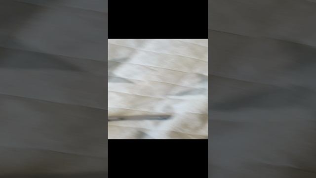 СКИБИДИ звери захватили мир 31 смотреть онлайн