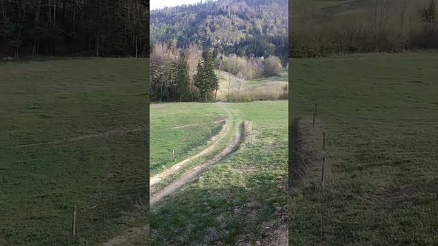 Пасека. Дом для уликов. Пчеловодство. смотреть онлайн