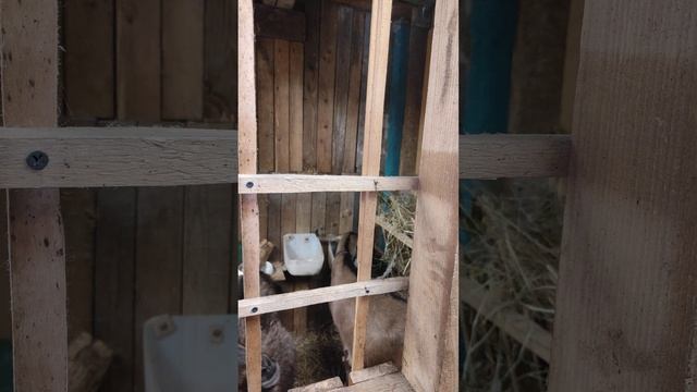 Видеознакомство - 4 марта 2023 г. смотреть онлайн