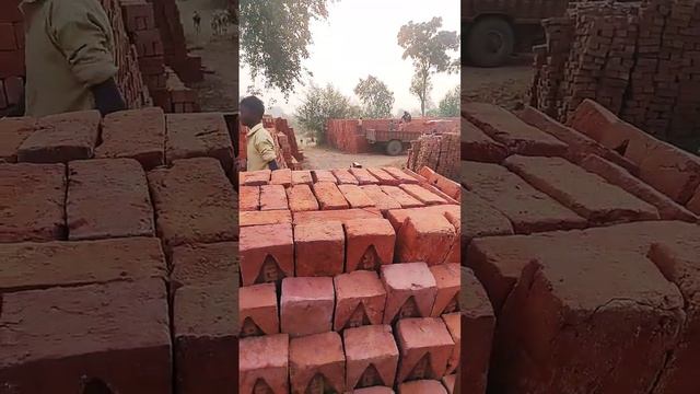 Jay Bheem like karo subscriber karo bhai ?????????? смотреть онлайн