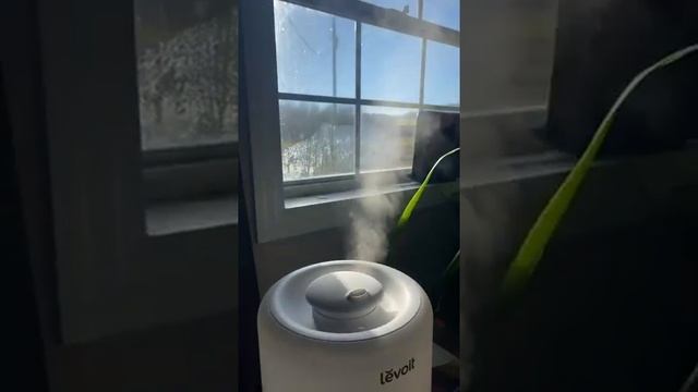 Cool Mist LEVOIT Humidifiers смотреть онлайн