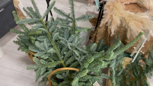 VLOG: корпоратив | новогодняя суета | икотка и соски ?