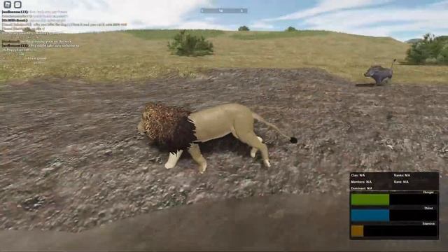 Hunting Innocent Animals as a LION|Testing A/Wild Savannah|Roblox смотреть онлайн