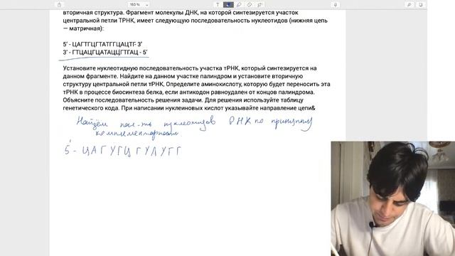Учимся решать задания на синтез белка с палиндромами