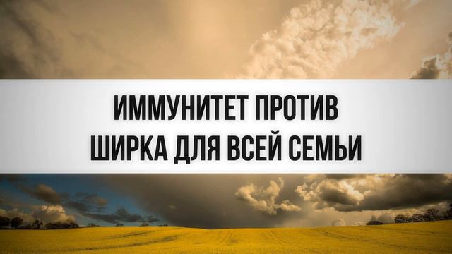 Иммунитет против ширка для всей семьи || Ринат Абу Мухаммад смотреть онлайн
