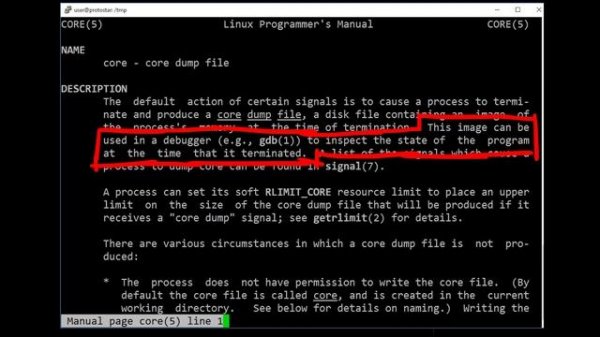 Linux signals and core dumps - bin 0x1C