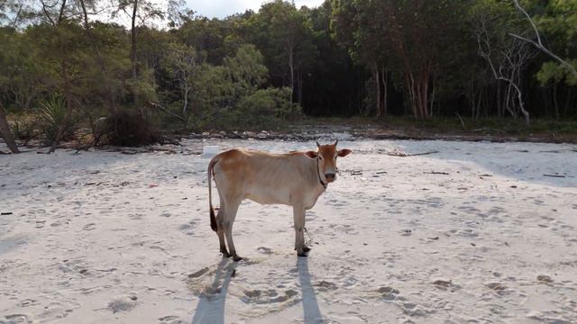 Koh Rong Island Resorts And General Impression, Cambodia.