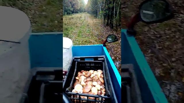 29 сентября 2022 г. смотреть онлайн