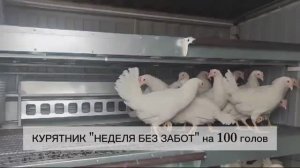 КУРЯТНИК для кур-несушек ТРЕХЪЯРУСНЫЙ на 100 ГОЛОВ. Инновационная разработка от рос. производителя