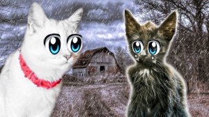 Кошечка Василиса СПАСЛА от СМЕРТИ БЕЗДОМНОГО Котёнка.