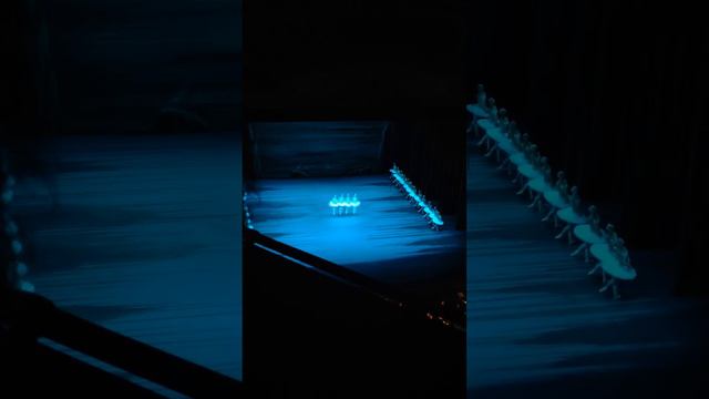 Лебединое озеро, Большой театр смотреть онлайн