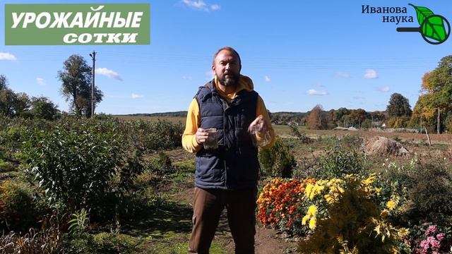 СУПЕРКЛЕЙ ДЛЯ ПОБЕЛКИ! Такая побелка продержится до весны! Муцин на службе садовода! смотреть онлайн
