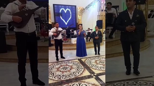 Dilqəm Gədəbəyli Sevil Gədəbəyli Elnur Gədəbəyli Bakı Toyu "Dubeyti" havası смотреть онлайн