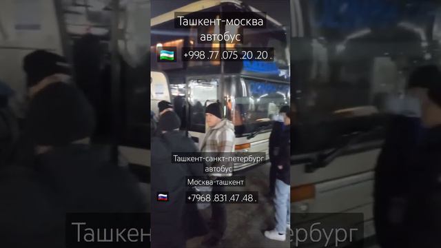 ташкент-москва автобус ташкент-санкт-петербург автобус москва-ташкент автобус 29.01.2024.г смотреть онлайн