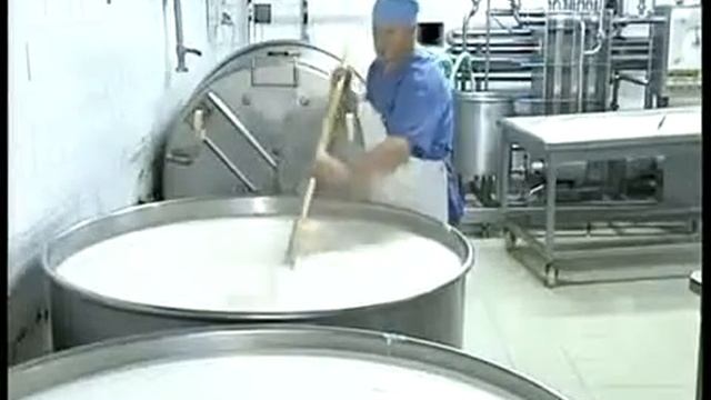 Микельанджело   производство сыра в Ленинградской области