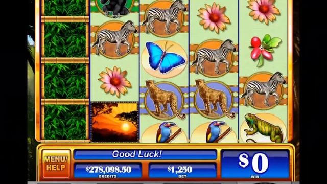 Play Free Slots Gorilla Chief unlocked A Play Connect смотреть онлайн
