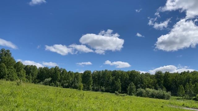 Наслаждаемся лучами солнца смотреть онлайн