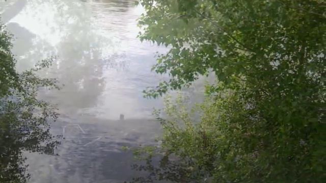 Ириклинское водохранилище смотреть онлайн