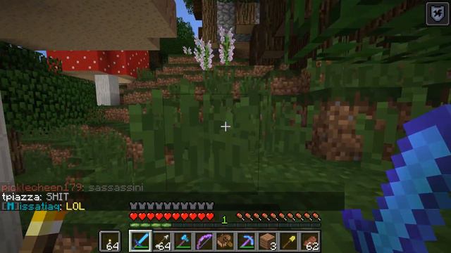 We Found Null On Our Minecraft Server! (Null Hunt Series - 1) смотреть онлайн