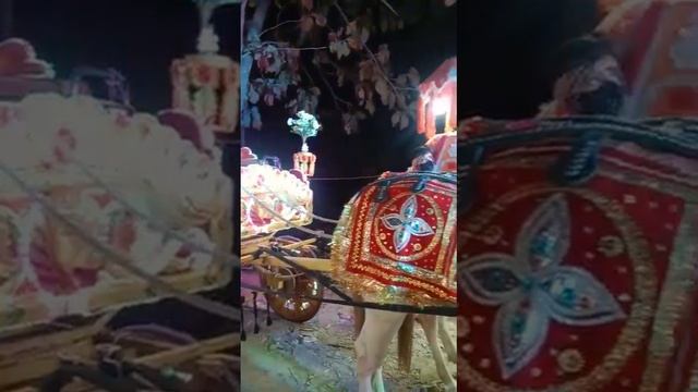 Soni ghoda baggi narkatha bansi Siddhartha nagar pro Jamal master..9919936320 смотреть онлайн