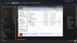 | Проблемный патруль | Не запускается Rust (steam) | Что делать? |