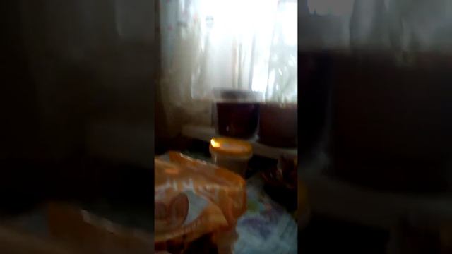 мы показываем дом канал байруша и эрдня церен делают разные вещи смотреть онлайн