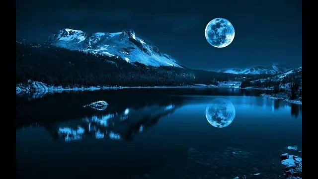 Алихан Амхадов смотреть онлайн