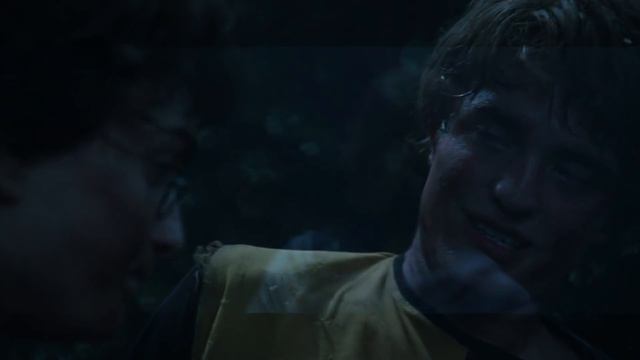 Why Fleur Delacour Performed So Badly in the Triwizard Tournament - Harry Potter Explained смотреть онлайн