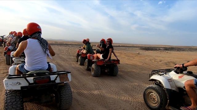 Отдых в Египете, отель ALBATROS SEA WORLD MARSA ALAM, черепахи, квадроциклы, отзыв. смотреть онлайн