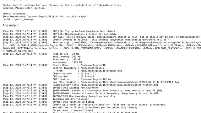 Oracle 18c opatch util cleanup not working смотреть онлайн