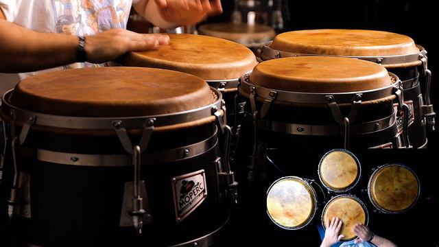 How to Do an Easy Warm up on 1-4 Congas смотреть онлайн