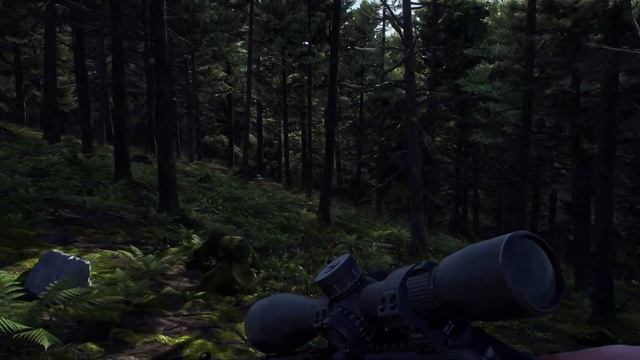 Way of the Hunter | Aurora Shores DLC Release Trailer смотреть онлайн
