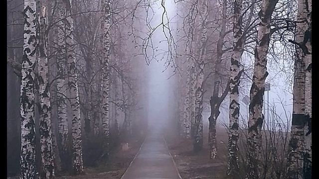 Д Самойлов Была туманная луна #стихиовесне#поэты20века смотреть онлайн