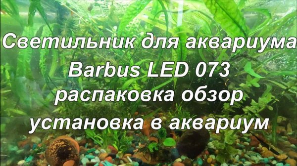 Светильник для аквариума "Barbus LED 073" обзор и установка в аквариум.