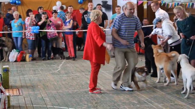 4-5 июня 2016 г.Комсомольск н/А, БЭСТ юниоров смотреть онлайн