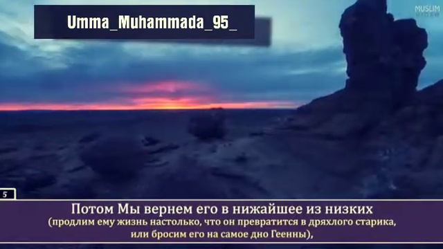 Сура 95 АТ-ТАН смотреть онлайн