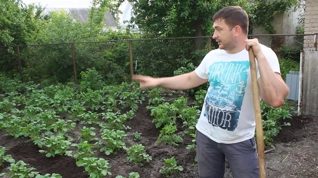 Как окучивать картошку вручную тяпкой: мастер класс смотреть онлайн
