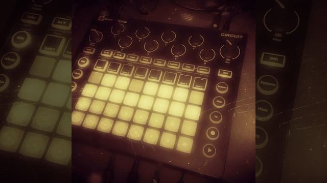 novation circuit acid test - will it acid? смотреть онлайн