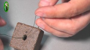 Макушатник на карпа - Лайфхак!