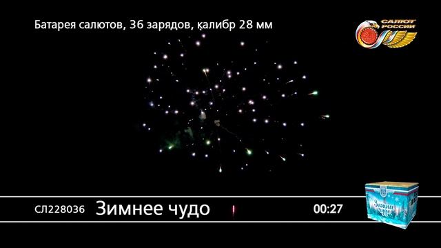 СЛ228036 Зимнее чудо смотреть онлайн