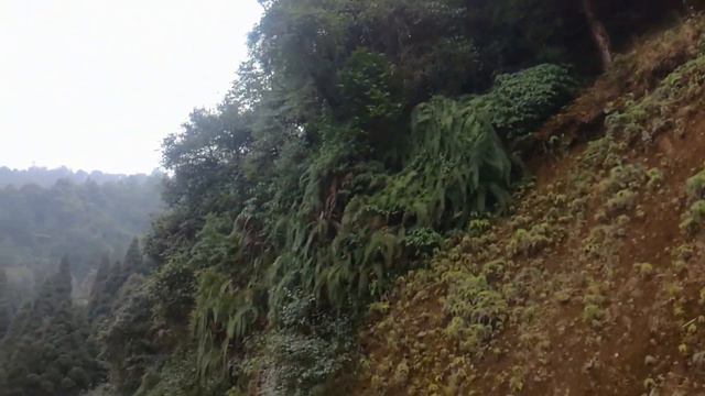 ।। Lava Toure ।। লাভা ।। A rode trip from Falakata to lava смотреть онлайн