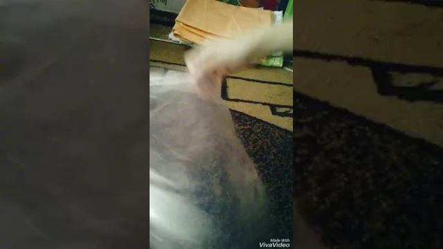 :) Diy: дождевик своими руками для питомцев (кошек и собак) смотреть онлайн