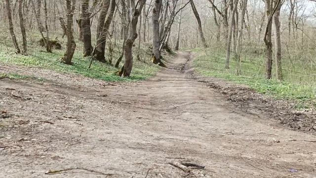 Загадка купели в лесу. Самые красивые места вокруг Анапы. смотреть онлайн