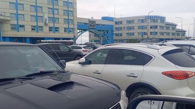 Работа и отдых на даче. Всех с днём РОССИИ!!! смотреть онлайн