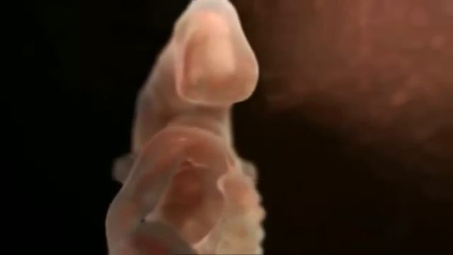 Аборт 3-Начало и конец смотреть онлайн