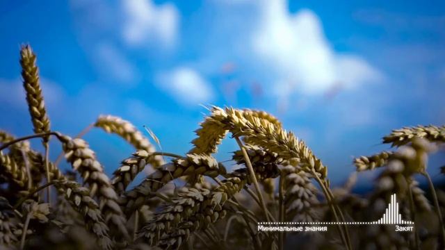 24. Минимальные знания- Закят смотреть онлайн