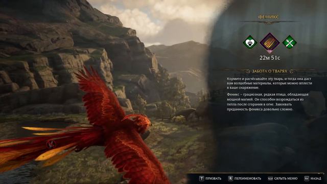 Hogwarts Legacy ➤ Хогвартс: Наследие. ➲ #8 В Поисках ФЕНИКСа смотреть онлайн